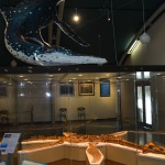 Kronosauruskorner, Richmond