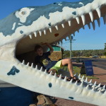 Kronosauruskorner, Richmond