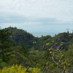 Magnetic Island, Far North Queensland