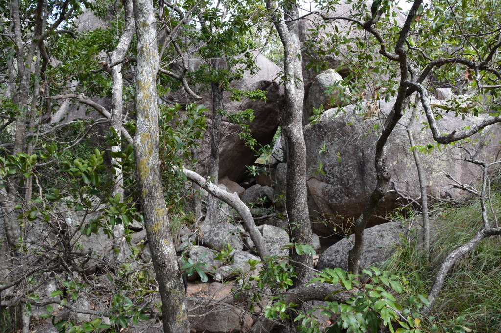 Magnetic Island, Far North Queensland