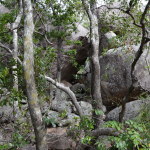 Magnetic Island, Far North Queensland