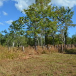 Old Laura Homestead, Cape York