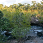 Camping, Cape York
