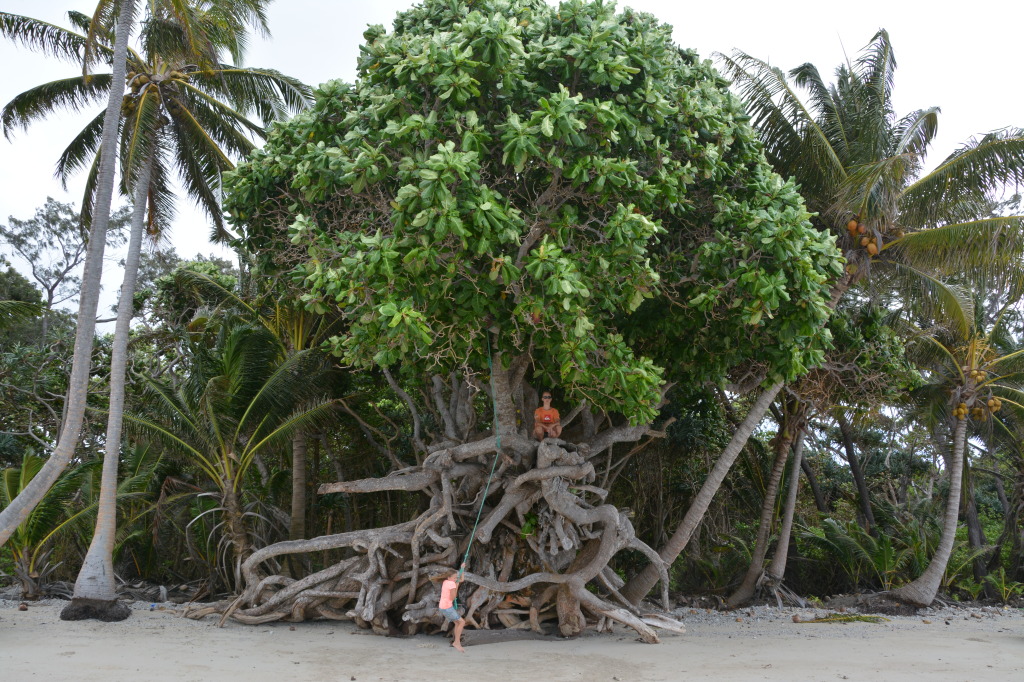 Chili Beach, Cape York