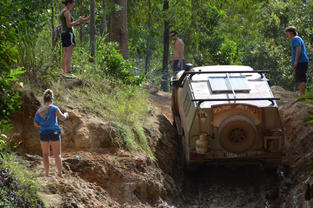 Palm Creek, Cape York