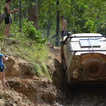Palm Creek, Cape York
