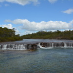 Fruit Bat Falls, Cape York