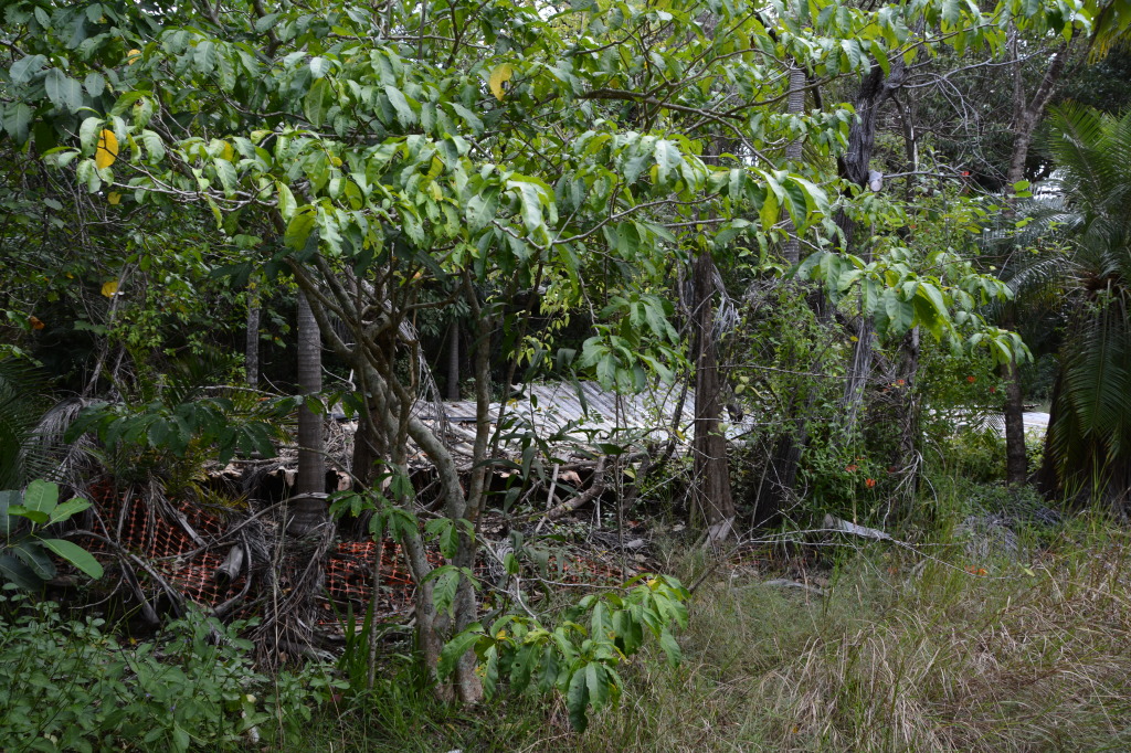 Pajinka Resort Ruins, Cape York