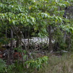 Pajinka Resort Ruins, Cape York