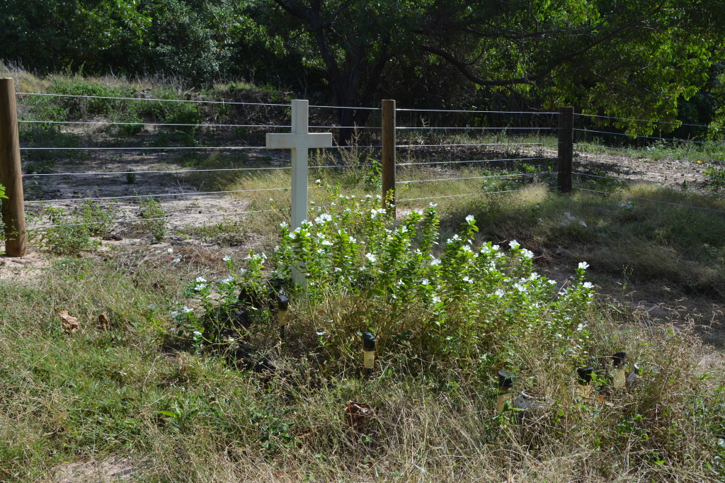 Somerset Beach, Cape York