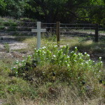 Somerset Beach, Cape York