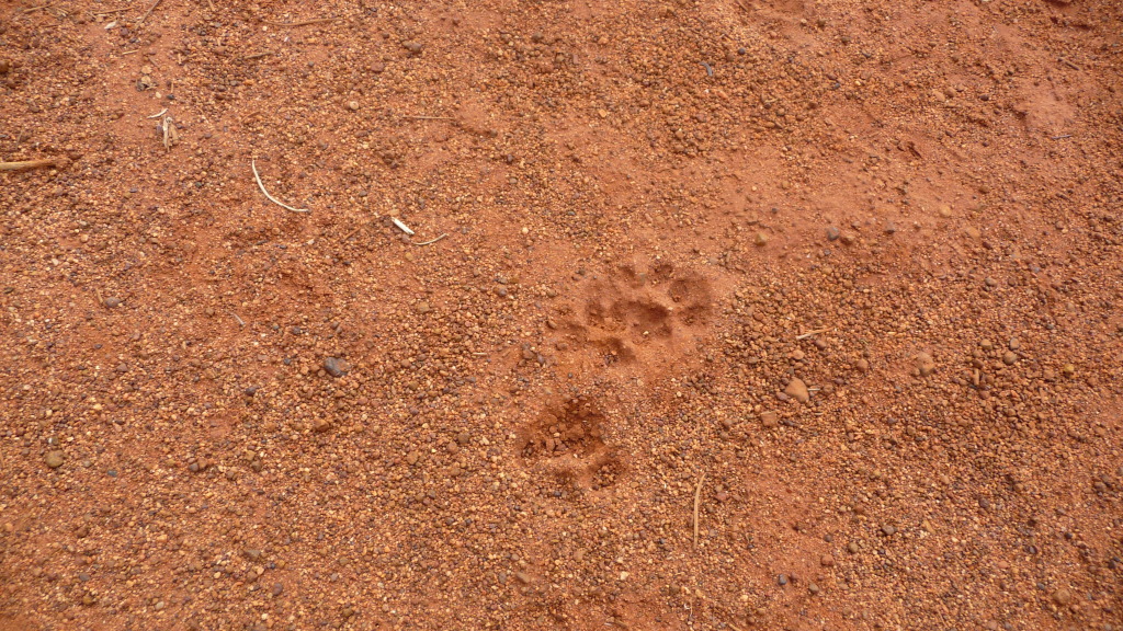 Uluru, Central Australia