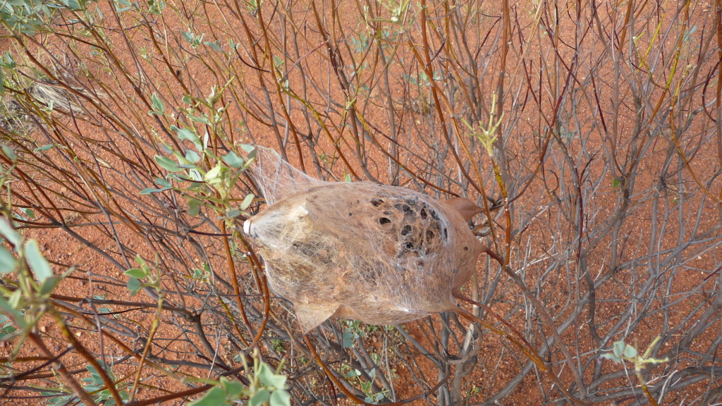 Uluru, Central Australia