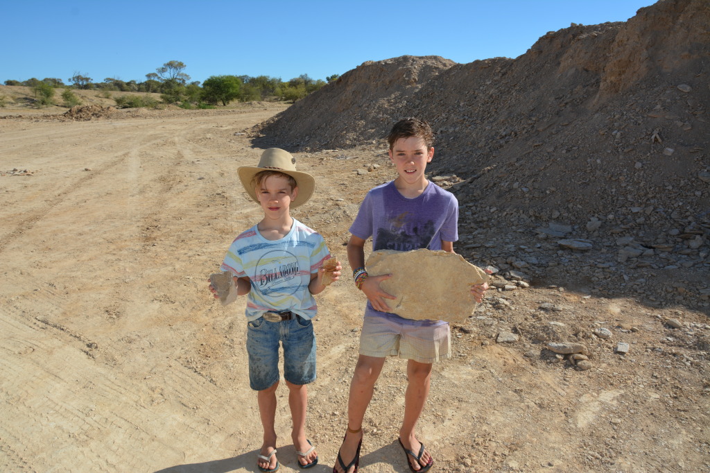 Dinosaur Fossicking Site near Richmond