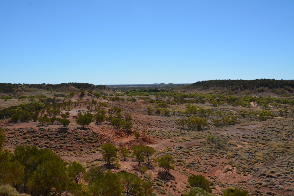Dinosaur Stampede, Winton