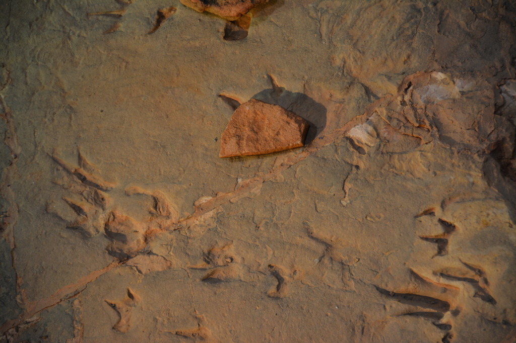 Dinosaur Stampede, Winton