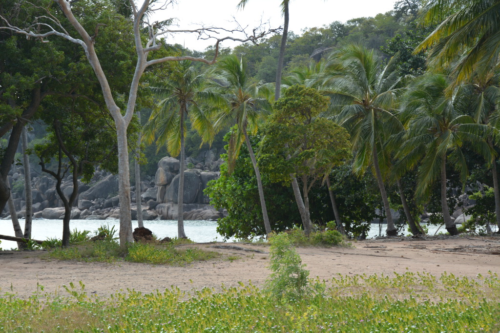 Magnetic Island, Far North Queensland