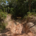 Palm Creek, Cape York