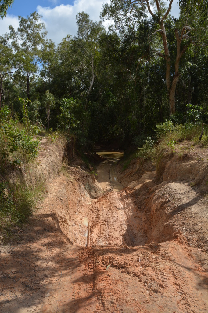Palm Creek, Cape York