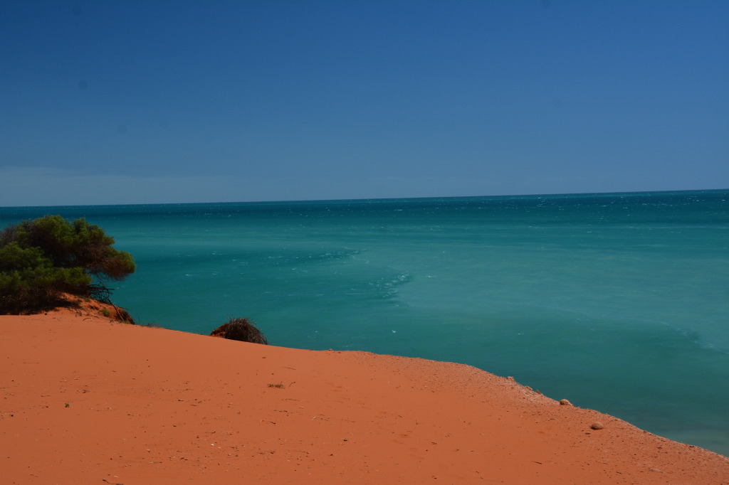 Shark Bay World Heritage Area, Western Australia