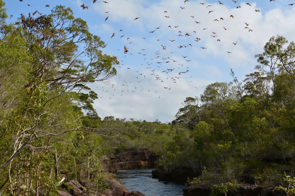 Twin Falls, Cape York